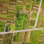 Đến Quảng Nam đi đâu chơi ngoài vi vu phố cổ? Hoi An anh 1