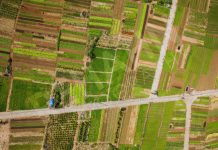 Đến Quảng Nam đi đâu chơi ngoài vi vu phố cổ? Hoi An anh 1