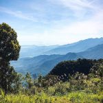 Ngắm thác chảy, săn mây trên đỉnh Bạch Mã vuon quoc gia bach ma anh 1