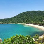 Trải nghiệm lặn biển ngắm san hô ở đảo Cù Lao Chàm lan bien ngam san ho Cu Lao Cham anh 1