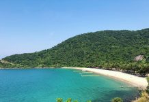 Trải nghiệm lặn biển ngắm san hô ở đảo Cù Lao Chàm lan bien ngam san ho Cu Lao Cham anh 1