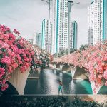 Thánh địa check-in mới toanh, đẹp như Singapore ngay giữa lòng Hà Nội