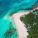 Đường xuyên rừng dừa hút khách vì thẳng như kẻ chỉ Du lich Philippines anh 1