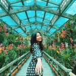 Thảo Cầm Viên và những địa điểm hơn một thế kỷ tuổi đời ở TP.HCM cac dia diem lau doi o sai gon anh 1