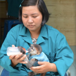 Sở thú 156 tuổi giữa lòng Sài thành hút giới trẻ Thao Cam vien TP.HCM anh 1