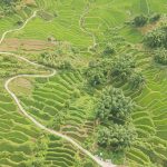 Đi qua mùa hạ tại rẻo cao Mộc Châu Moc Chau mua che anh 1