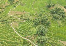 Đi qua mùa hạ tại rẻo cao Mộc Châu Moc Chau mua che anh 1