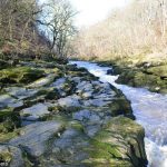 Dòng suối rộng 1,8 m nguy hiểm nhất thế giới Bolton Strid anh 1