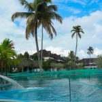 Khu nghỉ dưỡng Ấn Độ biến hồ bơi thành bể nuôi cá bien ho boi thanh be nuoi ca anh 1