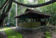 Thăm căn cứ T.Ư Cục miền Nam, cận cảnh lịch sử thời chiến Di tích quốc gia đặc biệt Căn cứ T.Ư Cục miền Nam ngày nay là điểm đến không thể thiếu trong chuyến hành trình khám phá vùng đất cách mạng Tây Ninh. /// ẢNH: GIANG PHƯƠNG