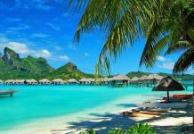 Cơ hội phát triển du lịch nghỉ dưỡng khi Phú Quốc lên thành phố đảo CEO Group anh 1