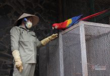 Bên trong Thảo Cầm Viên sau khi nhận quyên góp 2,5 tỷ từ cộng đồng Bên trong Thảo Cầm Viên sau khi nhận quyên góp 2,5 tỷ từ cộng đồng