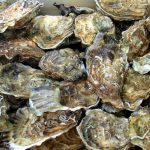 Bật mí kinh hoàng về món hào sống Bật mí kinh hoàng về món hào sống - Ảnh 1.