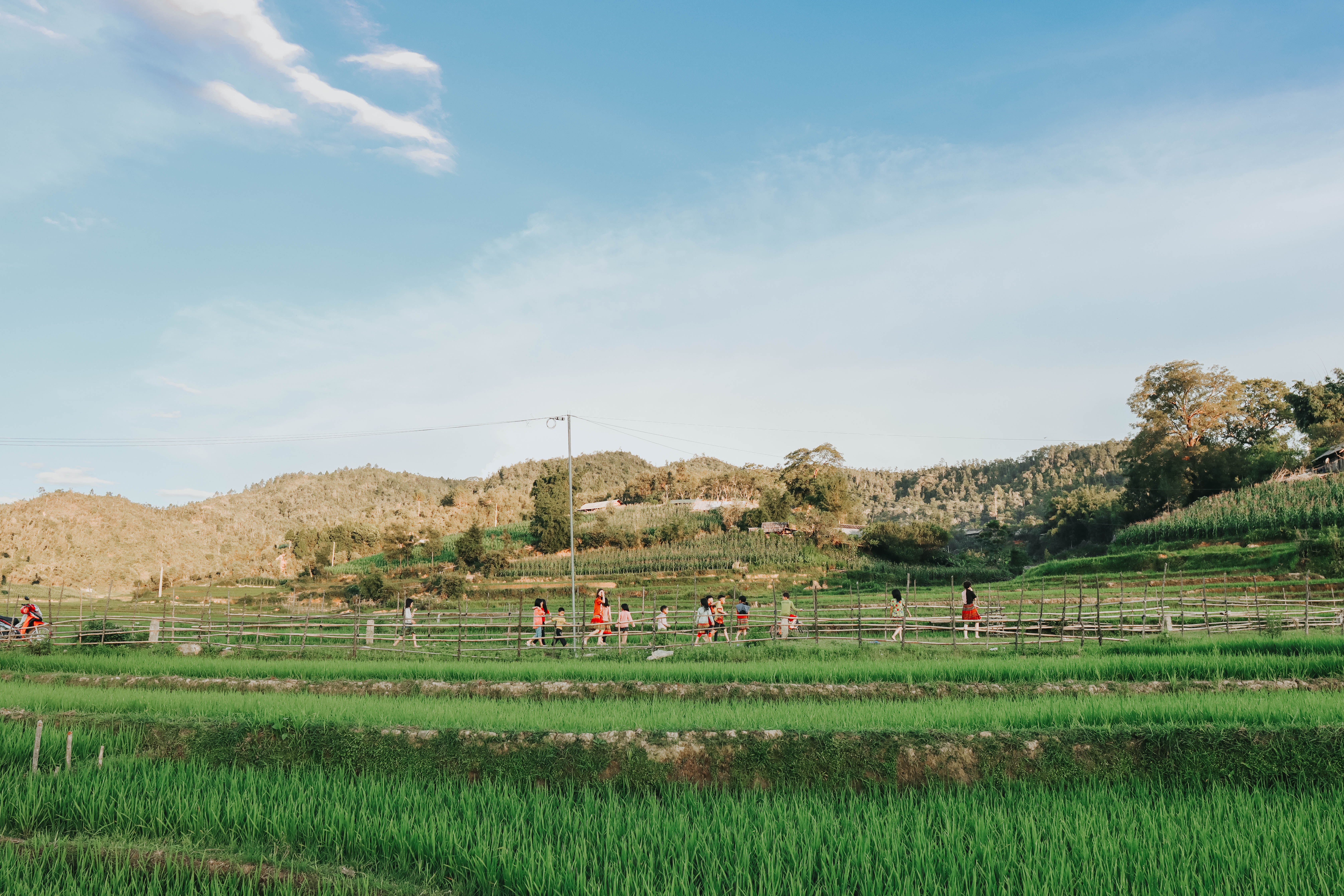 du lich mu cang chai anh 25