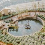 IXORA Đà Lạt – “khu vườn cổ tích” ngàn góc sống ảo ở Đà Lạt ixora-da-lat