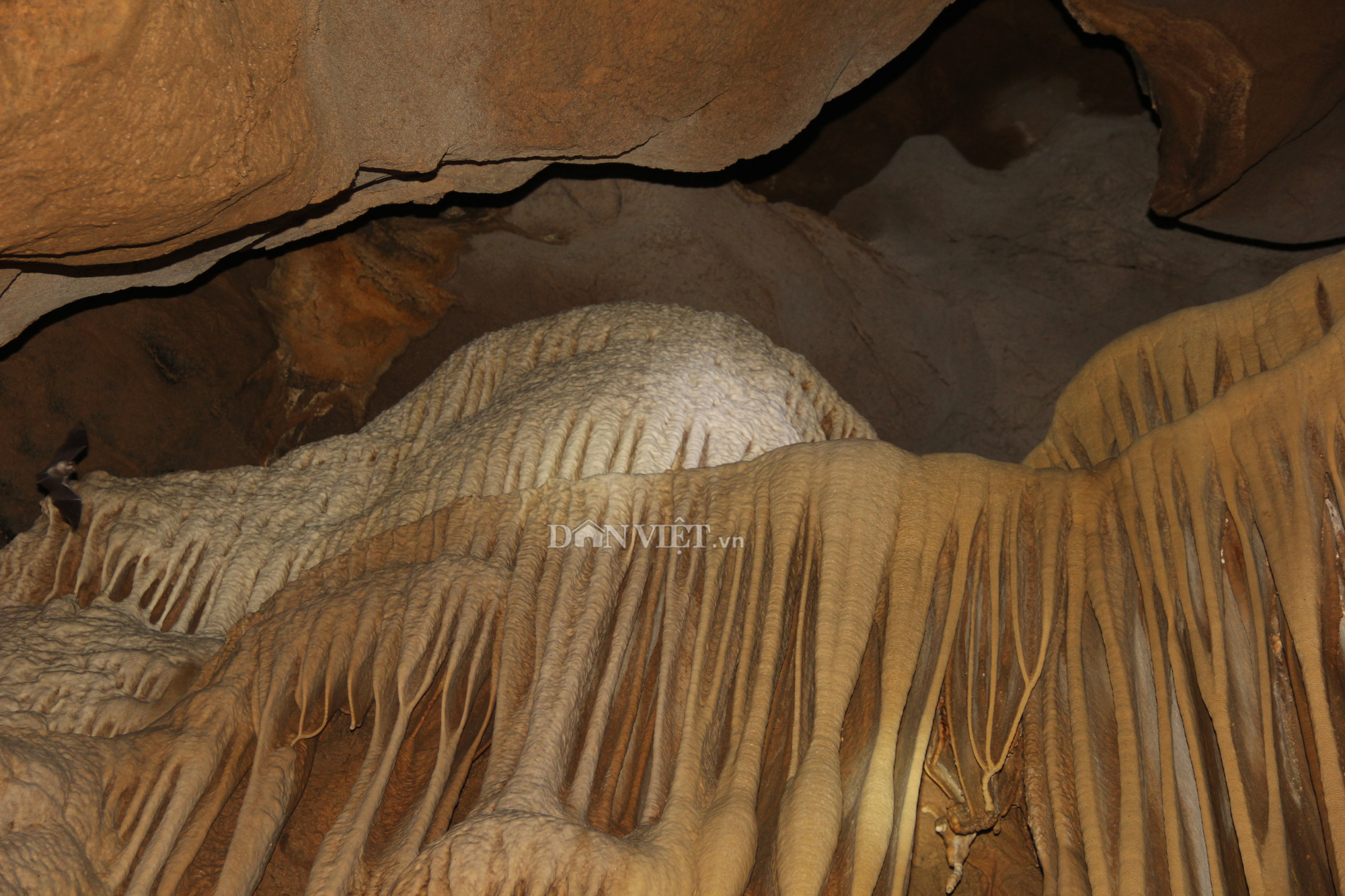 Quảng Trị: Phát hiện hang động mới, đẹp lung linh ở thôn Trỉa - Ảnh 11.