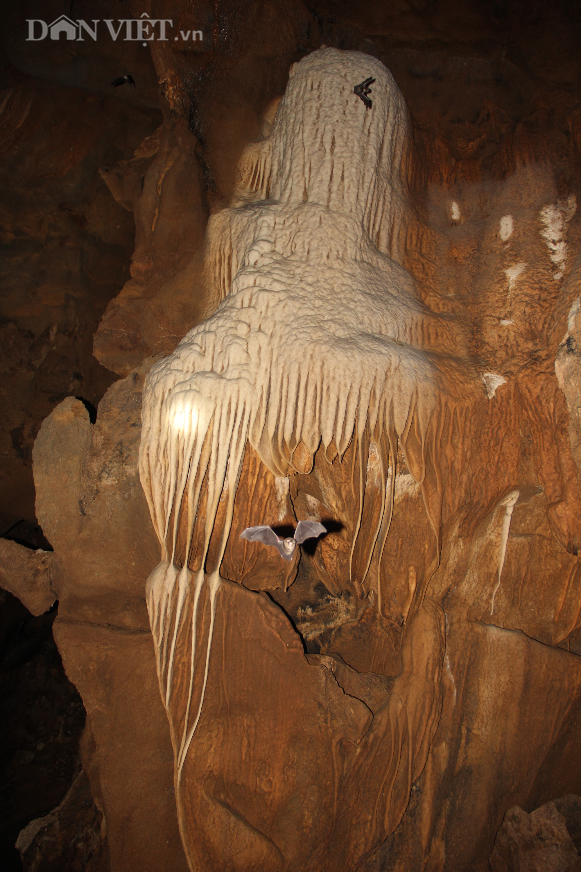 Quảng Trị: Phát hiện hang động mới, đẹp lung linh ở thôn Trỉa - Ảnh 19.