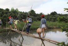 Nghỉ lễ 2.9 về miền Tây khám phá rừng nguyên sinh, ăn tôm cá Thử thách đi cầu khỉ luôn làm du khách lo lắng nhưng đầy trải nghiệm /// ẢNH: QUÁCH DUY THỊNH