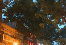 Nói về người Hà Thành, tôi biết đó là chân thành, ấm áp Nói về người Hà Thành, tôi biết đó là chân thành, ấm áp - Ảnh 1.