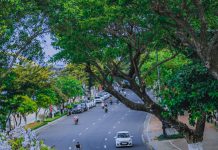 Kiếm tìm một Quảng Nam – Đà Nẵng sau ánh hào quang du lịch Kiếm tìm một Quảng Nam - Đà Nẵng sau ánh hào quang du lịch - Ảnh 1.