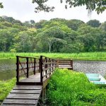 Đăk Nông, Việt Nam là 1 trong số các vườn địa chất toàn cầu mới nhất của UNESCO Đăk Nông, Việt Nam là 1 trong số các vườn địa chất toàn cầu mới nhất của UNESCO - Ảnh 1.