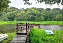 Đăk Nông, Việt Nam là 1 trong số các vườn địa chất toàn cầu mới nhất của UNESCO Đăk Nông, Việt Nam là 1 trong số các vườn địa chất toàn cầu mới nhất của UNESCO - Ảnh 1.