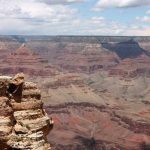 Tìm thấy hóa thạch 300 triệu năm tuổi Tìm thấy hóa thạch 300 triệu năm tuổi - Ảnh 1.