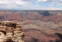 Tìm thấy hóa thạch 300 triệu năm tuổi Tìm thấy hóa thạch 300 triệu năm tuổi - Ảnh 1.