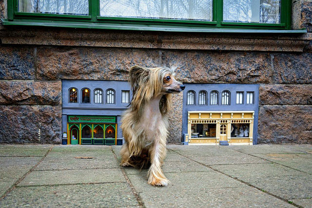 Đáng yêu “lạc lối”, những cửa hàng tí hon cho chuột trên đường phố Thụy Điển - Ảnh 4.