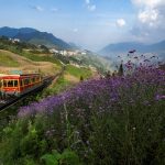 Khách hủy phòng Sa Pa vì dịch bệnh có bị phạt tiền? huy phong khach san anh 1