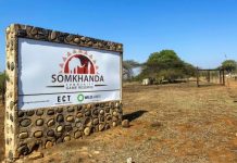 Khu bảo tồn ở Nam Phi phải xẻ thịt thú để bán vì đại dịch khu bao ton o Nam Phi ban thit dong vat anh 1