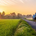 Bén duyên chụp ảnh nhờ… stress, chàng trai miền Tây gây ‘sốt’ với trang ảnh Bến Tre Bình minh trên lộ Cống Sìn, Giồng Trôm /// Ảnh: Nguyễn Quốc Thi