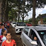 Hàng thông trăm tuổi ở Gia Lai chật cứng sáng 2/9 con duong thong tram tuoi anh 1