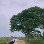 Cây cô đơn ở Huế trụi lá vì bão số 5 cay mat biec anh 1