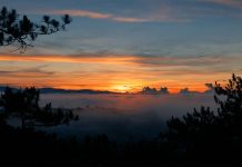 Ai đi Đà Lạt hãy thử 4 gợi ý ‘cực chất’ này để có thêm nhiều thú vị Nếu chịu khó dậy sớm, bạn sẽ được chiêm ngưỡng một Đà Lạt đẹp như mơ thế này đây /// Ảnh: Phương Nghi