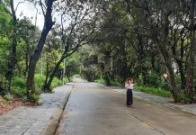 Có một Cô Tô khác lạ Có một Cô Tô khác lạ trong tôi - Ảnh 2.