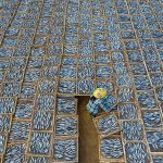 Cảnh phơi cá ở Việt Nam vào top ảnh đẹp quốc tế top anh dep giai quoc te anh 1