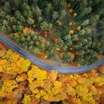 Những con đường đẹp trên thế giới khi thu về anh dep mua thu anh 1