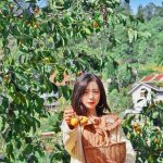 Check-in vườn hồng ở Đà Lạt Da Lat anh 1