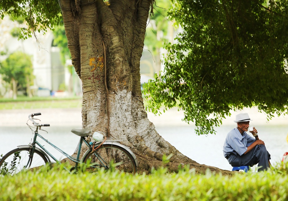 Ve dep ba thanh pho Ha Noi Da Nang TPHCM anh 29