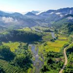 Mùa lúa chín bên sườn dải Trường Sơn Đông Song may o Truong Son Dong anh 1