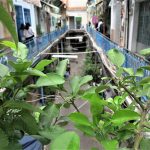 Dân hẻm Sài Gòn bức xúc vì người đến chụp hình gây ồn, mặc phản cảm Dân hẻm Sài Gòn bức xúc vì người đến chụp hình gây ồn, mặc phản cảm