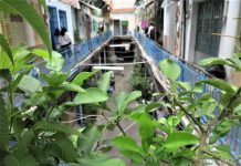 Dân hẻm Sài Gòn bức xúc vì người đến chụp hình gây ồn, mặc phản cảm Dân hẻm Sài Gòn bức xúc vì người đến chụp hình gây ồn, mặc phản cảm