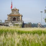 Lãng mạn mùa cỏ tranh xứ Huế Lãng mạn mùa cỏ tranh xứ Huế - Ảnh 1.