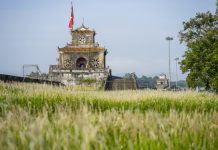 Lãng mạn mùa cỏ tranh xứ Huế Lãng mạn mùa cỏ tranh xứ Huế - Ảnh 1.