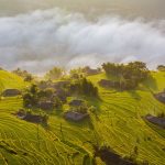 7 điểm ngắm lúa chín ở miền Bắc diem ngam lua chin o mien Bac anh 1