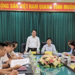 Hải Phòng rà soát tiến độ 6 dự án tại Cảng hàng không Cát Bi ra soat du an tai cang Cat Bi anh 1