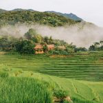 Tháng 9, đến Pù Luông ngắm lúa du lich Pu Luong anh 1