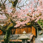 Kyoto – nơi lưu giữ ký ức Nhật Bản xưa co do Kyoto anh 1