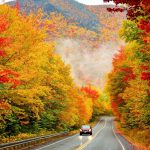 Khung cảnh mùa thu nước Mỹ mua thu nuoc My anh 1